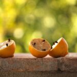 Immagine di una cucina pulita con trappole per mosche e rimedi naturali esposti su un piano di lavoro.