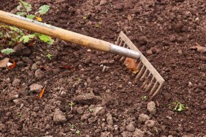 Come preparare il terreno del giardino in primavera in 5 mosse