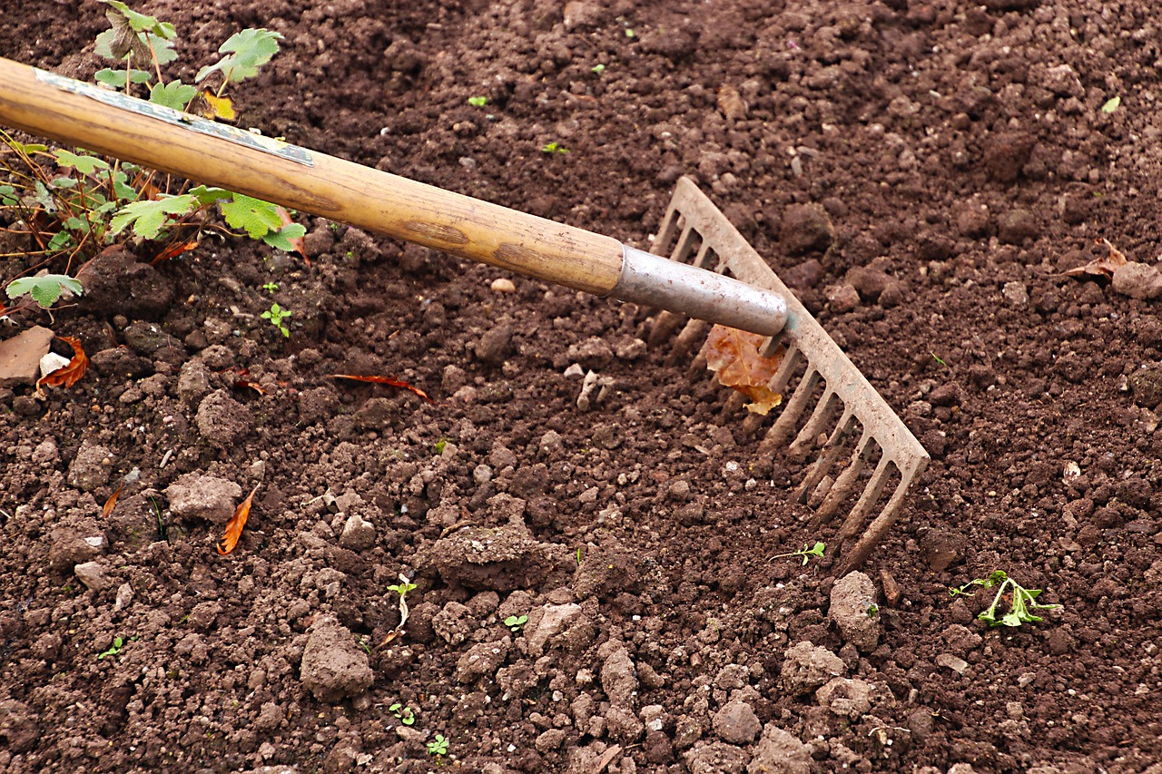 Preparazione del terreno del giardino in primavera: zappa, concime e semina.