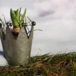 Concime per orto a marzo, diverse tipologie di fertilizzanti in sacchi su sfondo naturale.