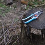 Giardiniere pota una pianta in un piccolo giardino primaverile di meno di 50 mq.