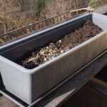 Orto sul balcone: piante e semi da seminare a marzo per principianti.