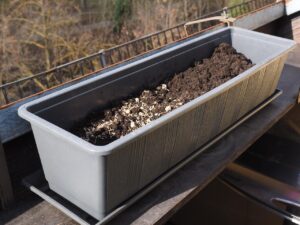 Orto sul balcone per principianti: cosa seminare adesso a marzo