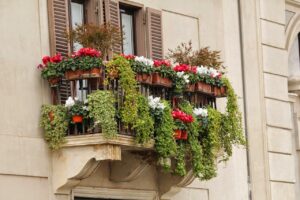 Le 5 piante da balcone che resistono al caldo di luglio senza annaffiature quotidiane