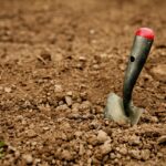 Terreno argilloso in giardino con esempi di ingredienti economici per migliorarne la qualità.